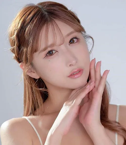 四季食灵美食番免费在线观看